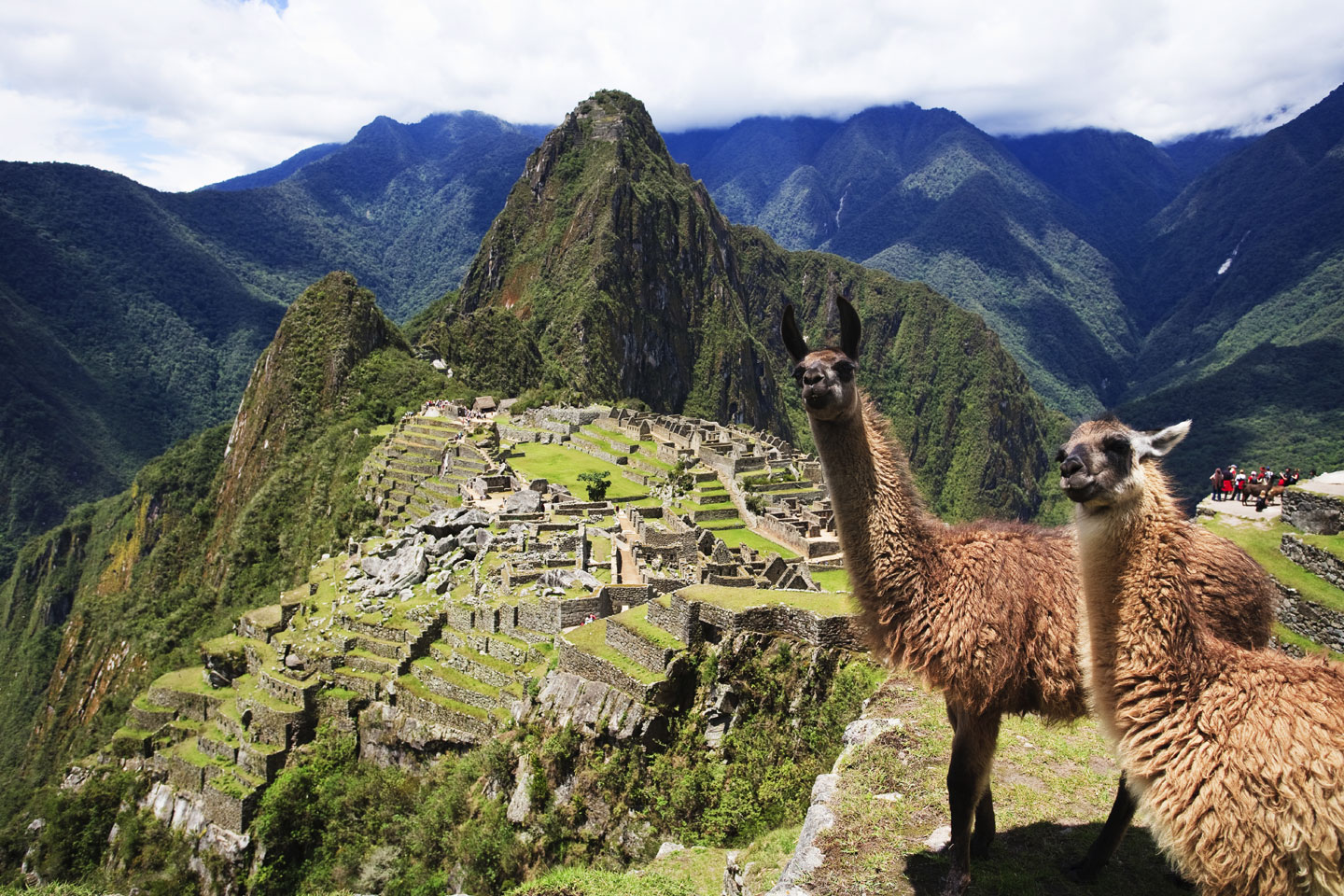 Machu Picchu tours de un dia